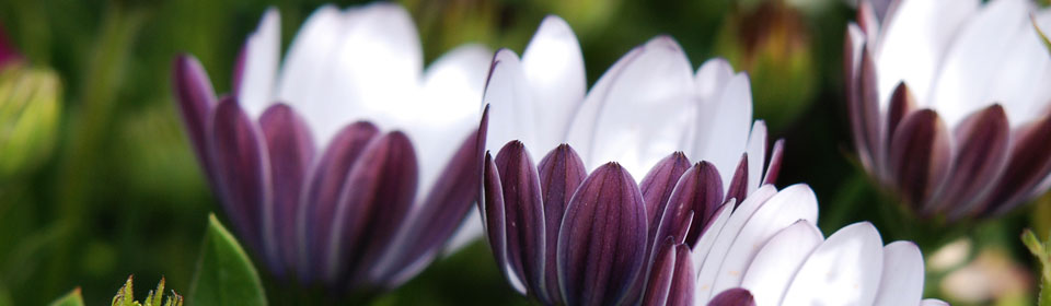 求推荐靠谱平台的如何攻击网站