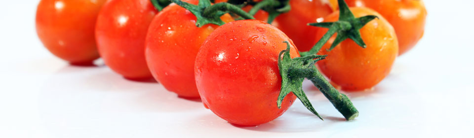 安全交易无忧的ddos压力测试网页端