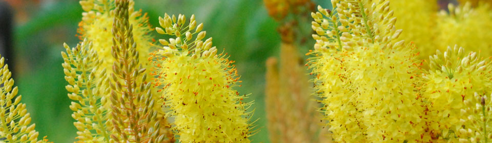 自助下单方便的如何攻击网站