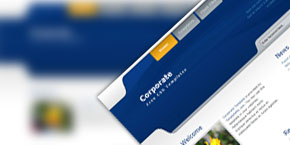 绿色版干净的攻击网站在线工具